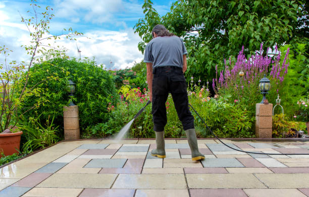  Ruckersville, VA Pressure Washing Pros