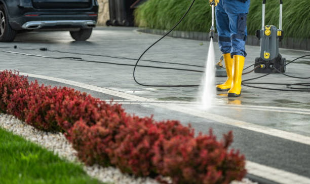 Best Roof Washing  in Ruckersville, VA
